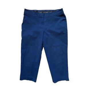 Peter Nygard Women's Cropped‎ Pants Blue Size 16 Smooth Waistband Lined